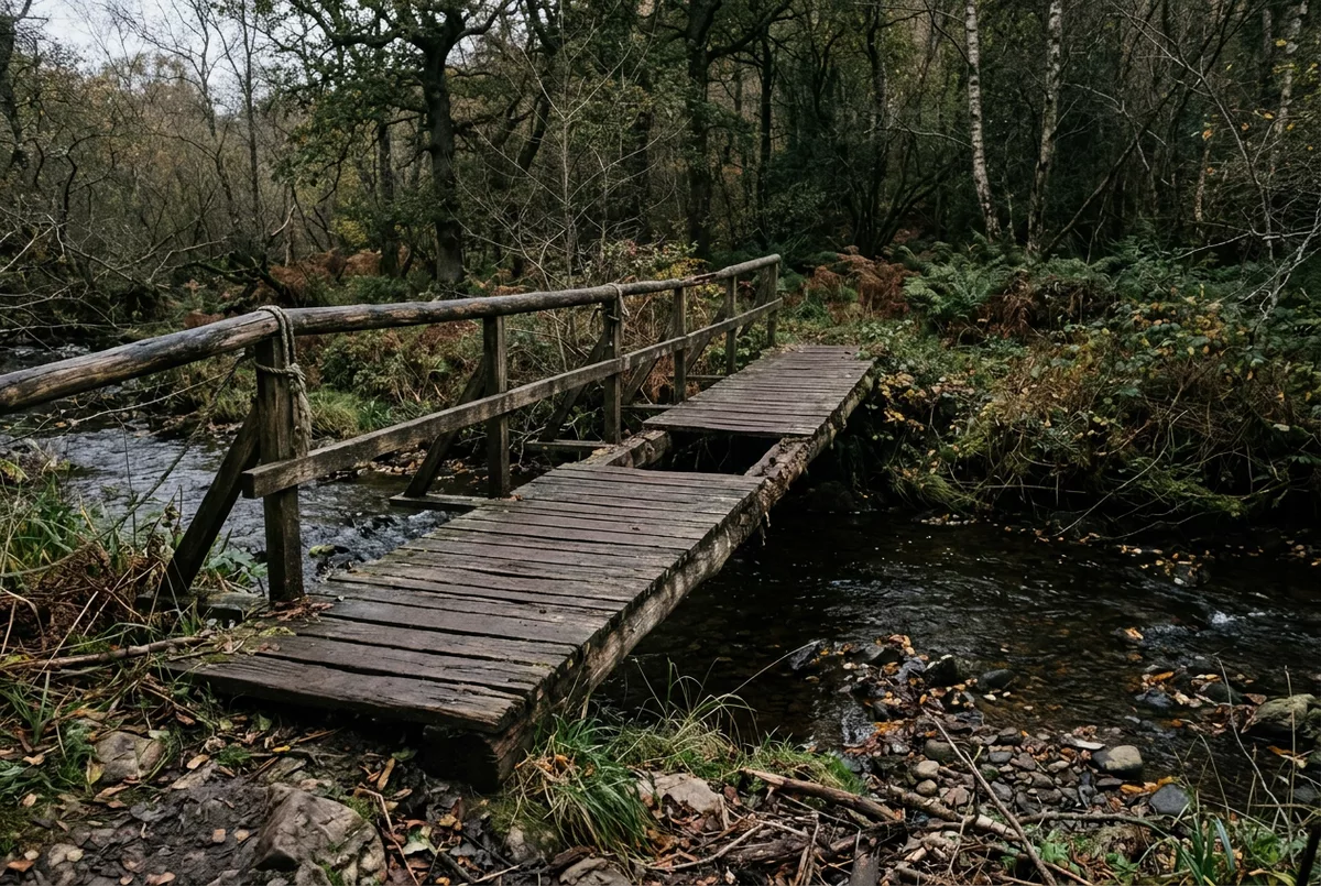 Holzsteg mit einer fehlenden Planke ueber einem Bach